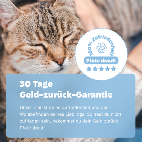 Katzen Darmfloratest