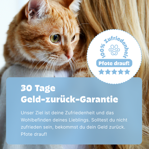 stuhlprobe katze aufbewahren Großes Kotprofil für Katzen