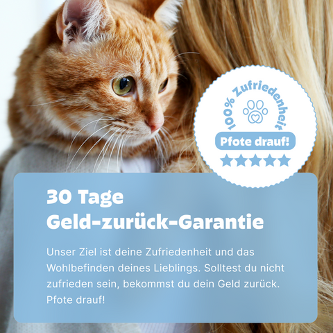 Großes Kotprofil für Katzen