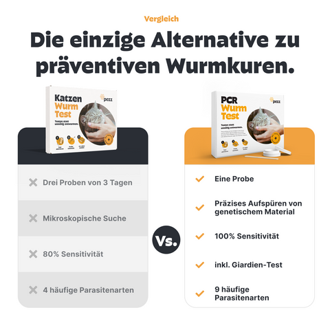 Katzen Wurmtest