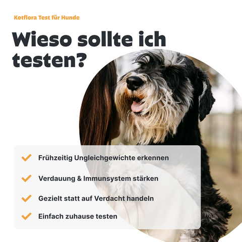 Hunde Kotfloratest