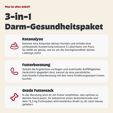 3-in-1 Darm-Gesundheitspaket