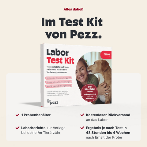 3-in-1 Darm-Gesundheitspaket