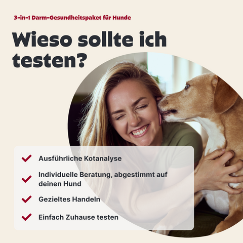 3-in-1 Darm-Gesundheitspaket