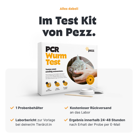 Katzen Wurmtest PCR
