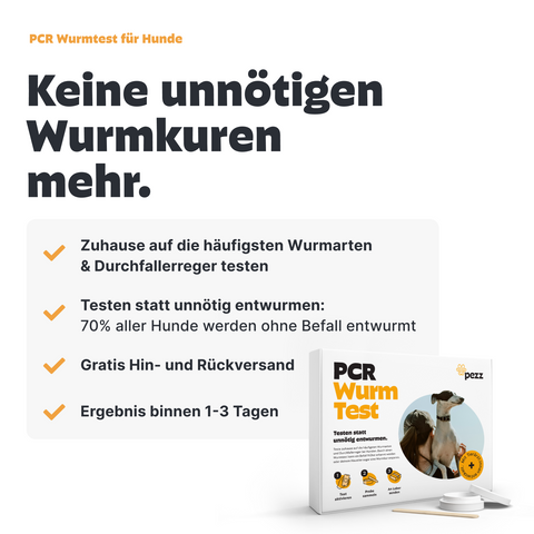 2in1 Anlayse: PCR Wurmtest für Hunde & Katzen