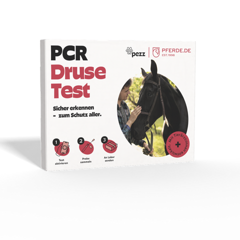 Pferde Druse-Test PCR