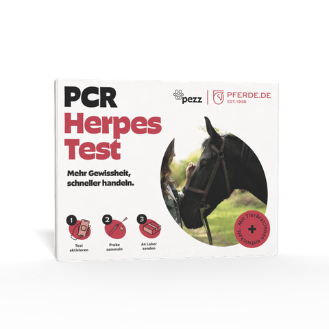 Pferde Herpes-Test PCR