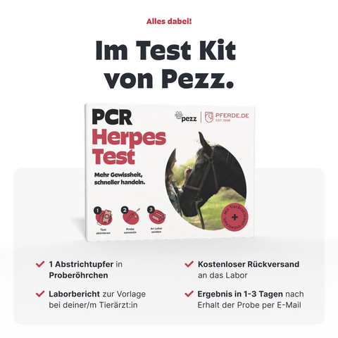 Pferde Herpes-Test PCR