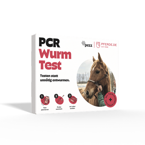 Pferde Wurmtest PCR