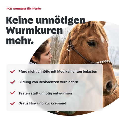 Pferde Wurmtest PCR