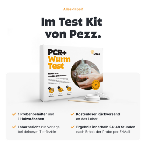 Katzen Wurmtest PCR+