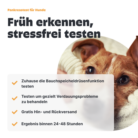 Hunde Pankreastest