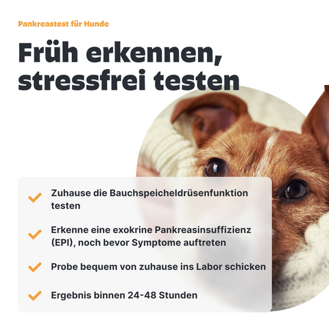Hunde Pankreastest