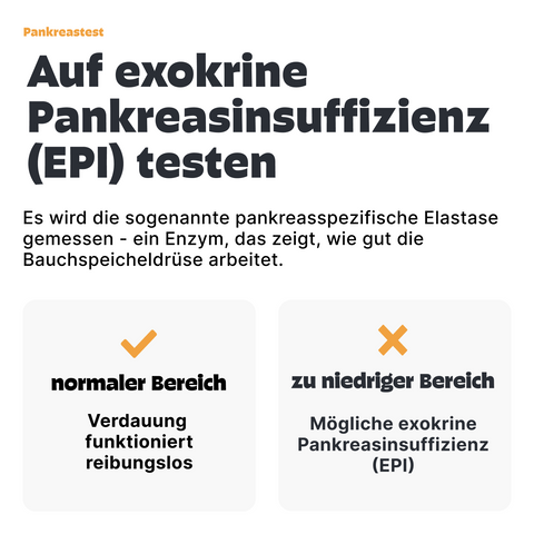 Hunde Pankreastest
