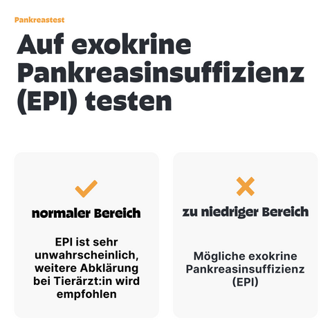 Hunde Pankreastest
