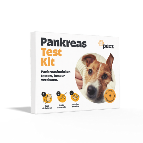 Hunde Pankreastest