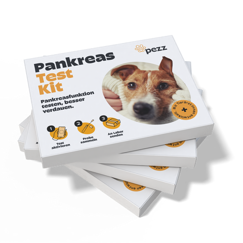 Hunde Pankreastest
