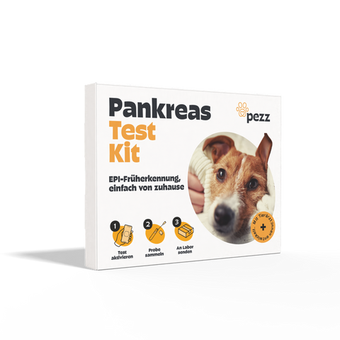Hunde Pankreastest