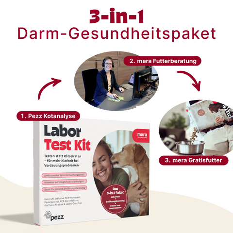 3-in-1 Darm-Gesundheitspaket