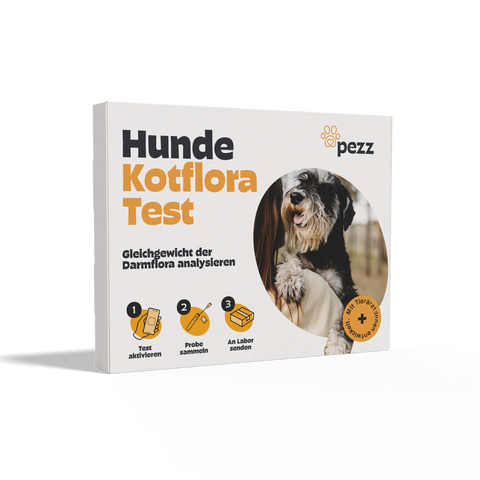 Hunde Kotfloratest