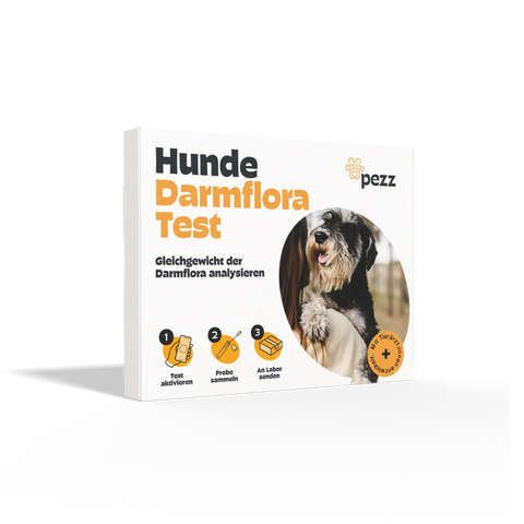 Hunde Darmfloratest
