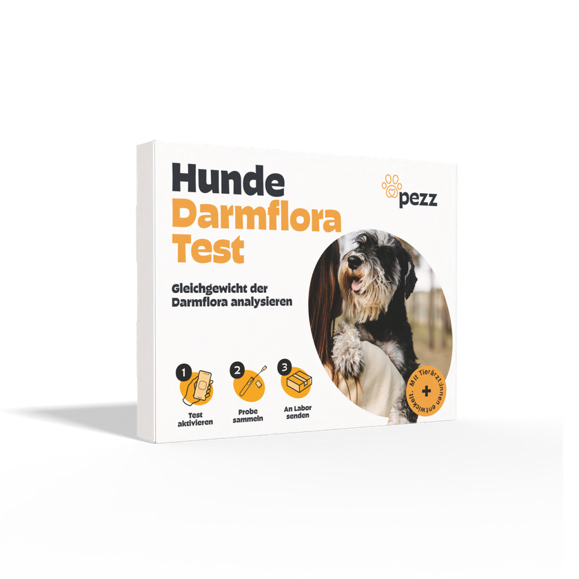 Darmfloratest für Hunde