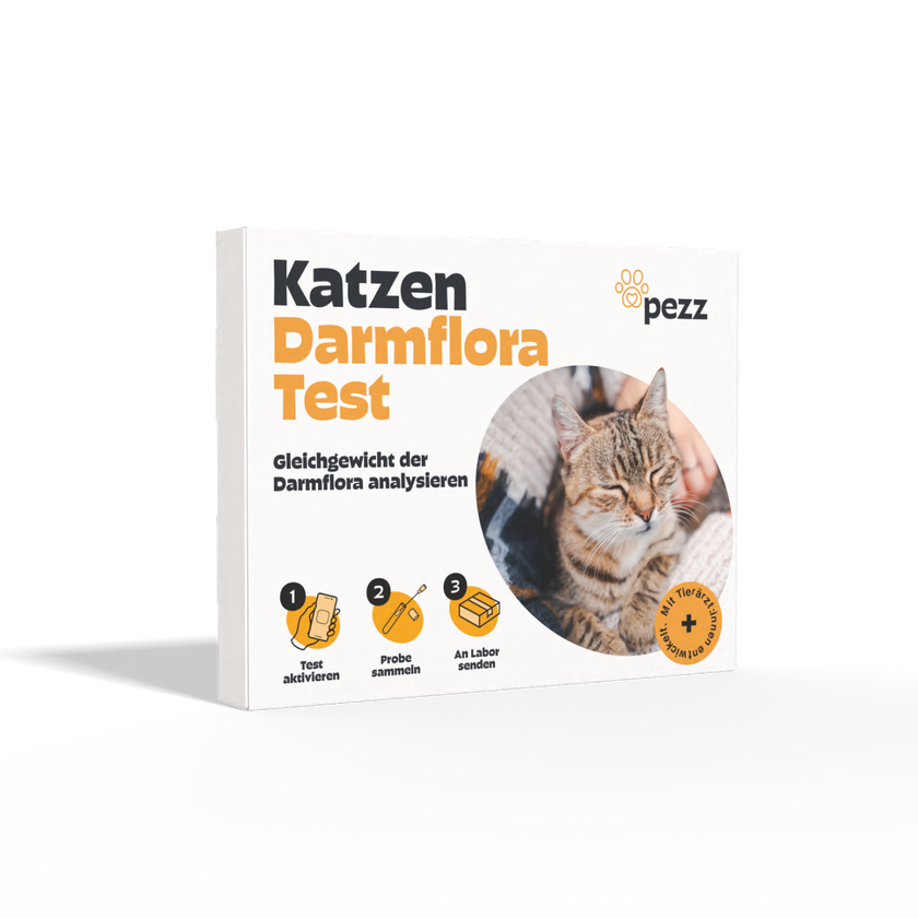 Großes Kotprofil für Katzen - 7in1 Test zur ganzheitlichen Kotanalyse