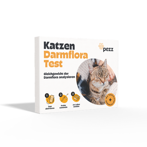 Katzen Darmfloratest
