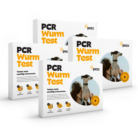 Hunde Wurmtest PCR
