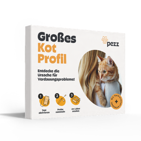 Große Kotprofil für Katzen