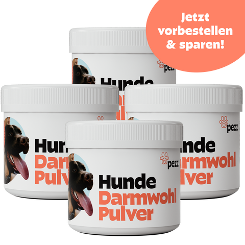 Hunde Darmwohl Pulver 300g