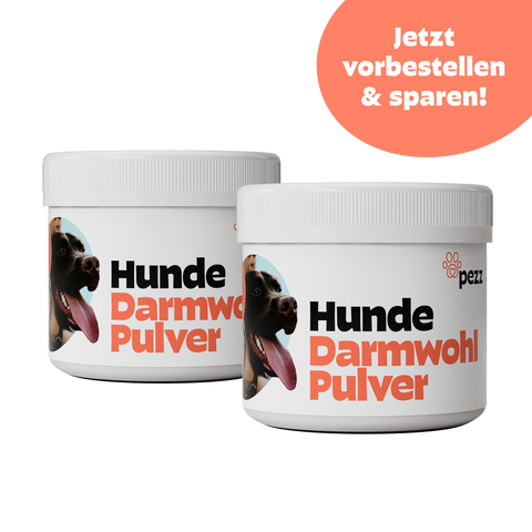 Hunde Darmwohl Pulver 300g