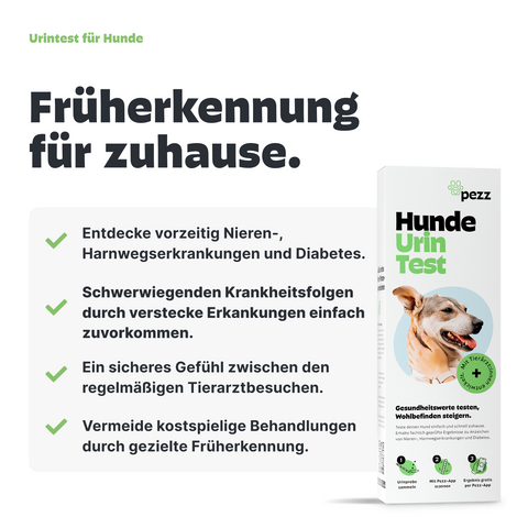 2in1 Analysen: Großes Kotprofil & Urintest für Hunde