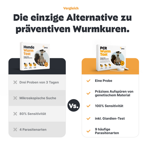 Hunde Wurmtest