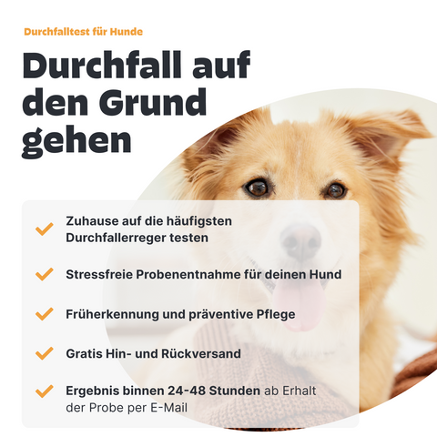 Hunde Durchfalltest PCR