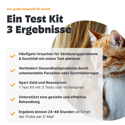 Großes Kotprofil für Katzen