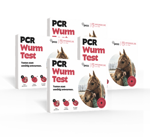 Pferde Wurmtest PCR