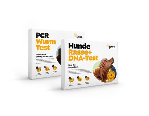 2in1 Analysen: DNA Test inkl. MDR1 & PCR Wurmtest für Hunde