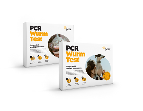 2in1 Anlayse: PCR Wurmtest für Hunde & Katzen