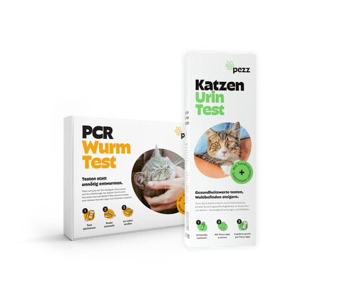 2in1 Analysen: PCR Wurmtest & Urintest für Katzen