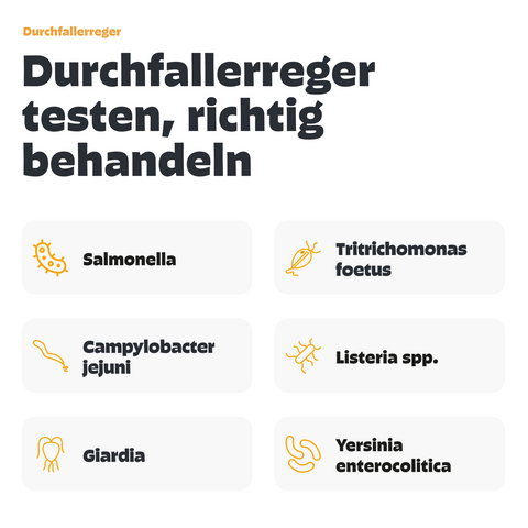 Hunde Durchfalltest PCR