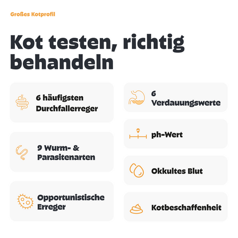 Große Kotprofil für Katzen