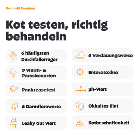 Premium Kotprofil für Hunde
