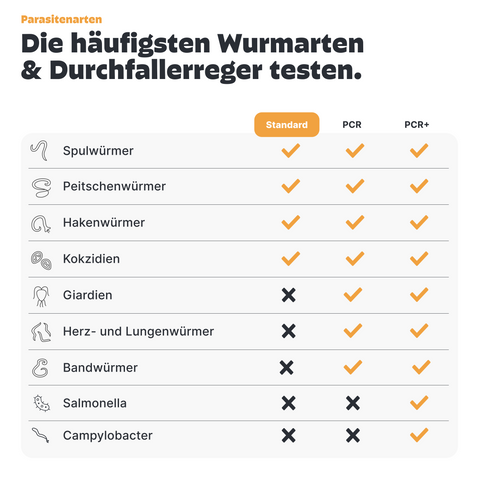 Katzen Wurmtest Standard