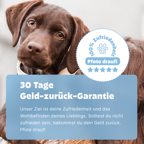 Hunde Leaky Gut Test