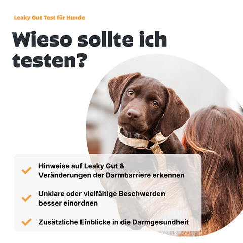 Hunde Leaky Gut Test