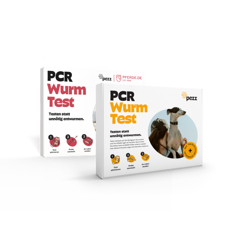 2in1 Analysen: Wurmtest PCR für Hunde & Pferde