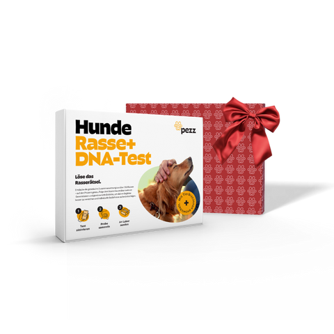 Hunde Rasse & MDR1 DNA-Test