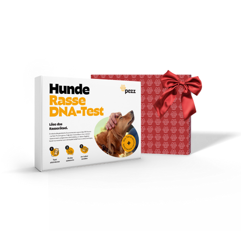 Hunde Rassebestimmung DNA-Test